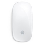 Apple Magic Wireless Mouse