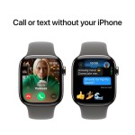 Apple Watch Series 10 GPS + Cellular 42mm Natural Titanium Case with Stone Grey Sport Band - S/M