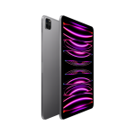 iPad Pro 11 Wi-Fi 128GB Space Gray (2022)
