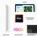 iPad Pro 12.9 Wi-Fi+Cellular 256GB Space Gray (2022)