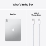 iPad Pro 11" M4 Wi-Fi+Cellular 1TB Silver (2024) Nano-texture glass