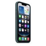 iPhone 16e Silicone Case - Lake Green