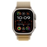 49mm Tan Alpine Loop - Large - Natural Titanium Finish