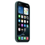 iPhone 16 Pro Silicone Case with MagSafe - Lake Green